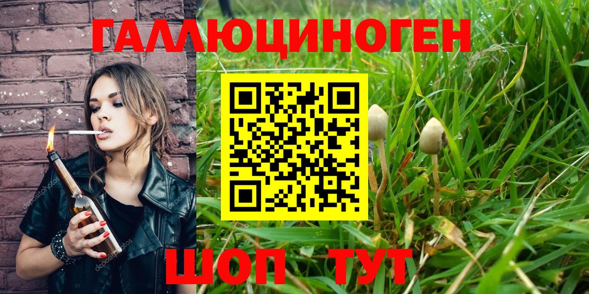 Псилоцибиновые грибы ЛСД  Вход с VPN  Новотроицк  Галлюциногенные грибы GOLDEN TEACHER 