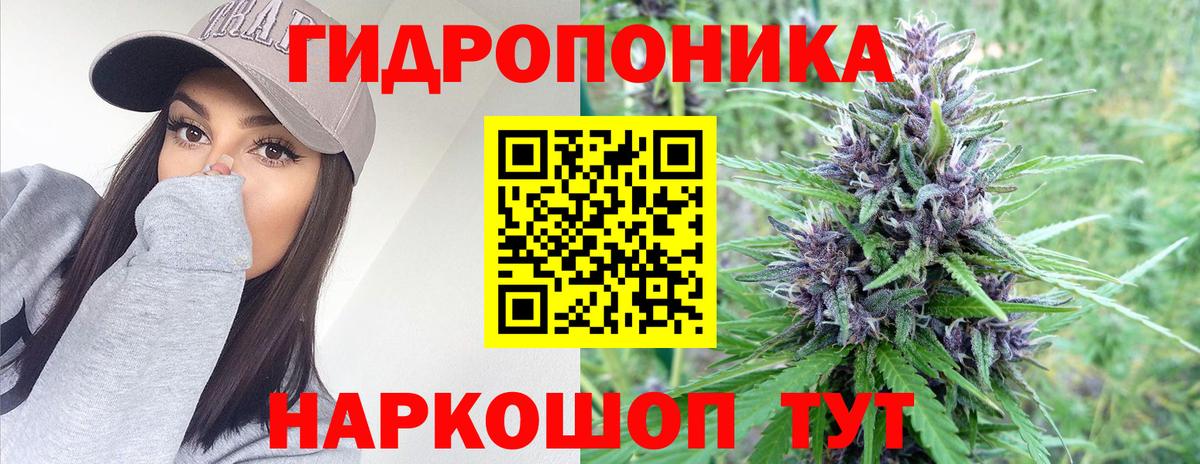 Конопля OG Kush  Бошки марихуана THC 21%  Вход с VPN  Новотроицк 